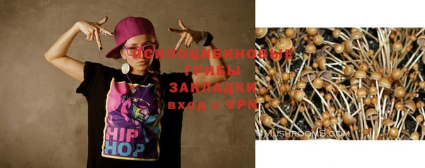 крисы Киреевск
