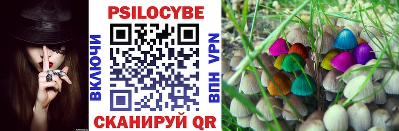 где можно купить наркотик Мегион Галлюциногенные грибы MAGIC MUSHROOMS